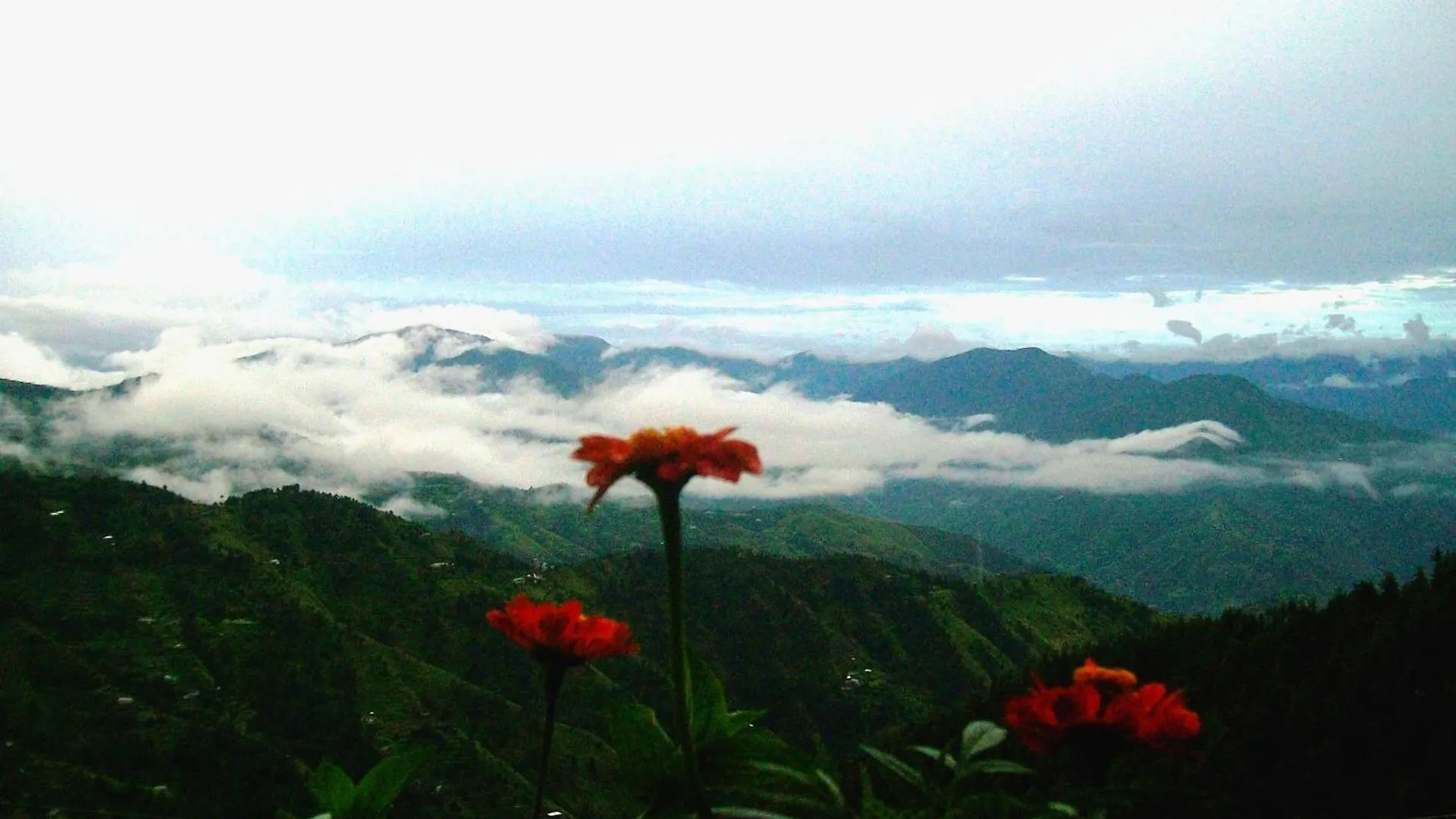 Himalya Sun-Dawn Apartment Shimla