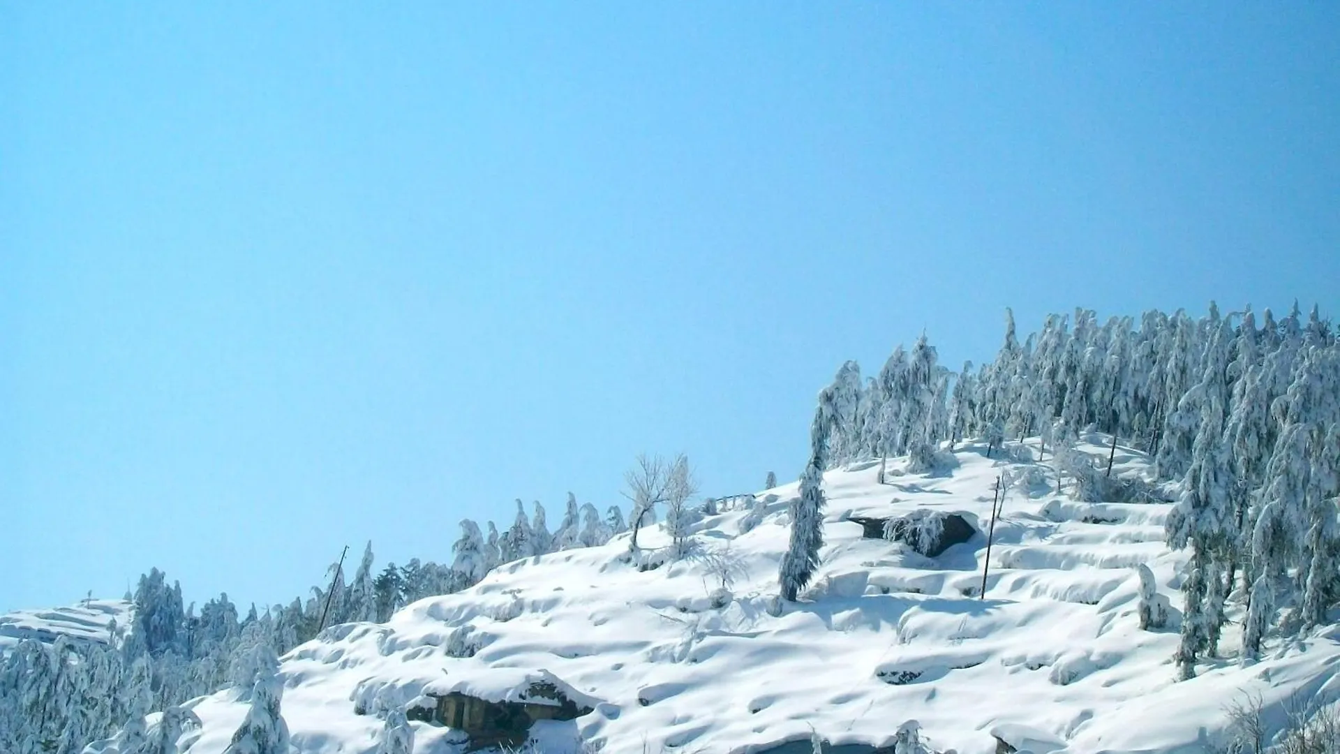 Homestay Himalya Sun-Dawn Apartment Shimla